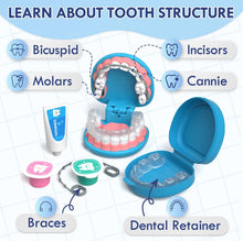 Load image into Gallery viewer, LittleSmiles⢠- Kids Dentist Play Set