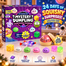 Load image into Gallery viewer, Mystery Dumpling 2026 Calendar - Space Edition