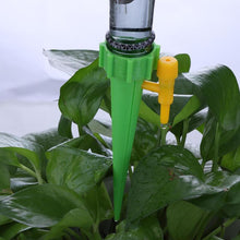 Load image into Gallery viewer, Bottle-top Watering Spike