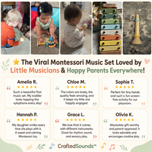 Load image into Gallery viewer, CraftedSounds™ - Baby Montessori Musical Instruments
