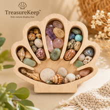 Load image into Gallery viewer, TreasureKeep™ - Kids nature display box
