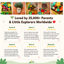 Load image into Gallery viewer, Plant&amp;Play Garden™ - Fruits &amp; Vegetables Garden Plushies
