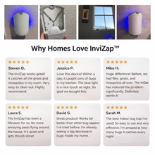Load image into Gallery viewer, InviZap™️  - Discreet Flying Insect Trap
